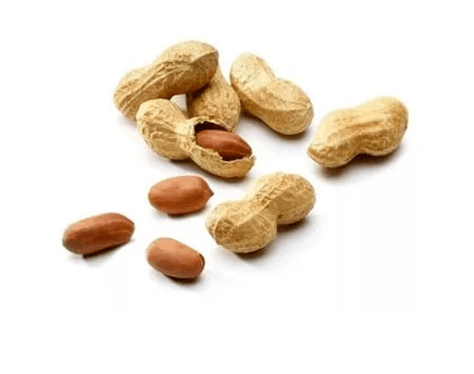 Nut